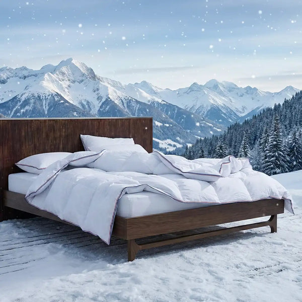 Offre Jours Blancs - Ensemble Hôtel